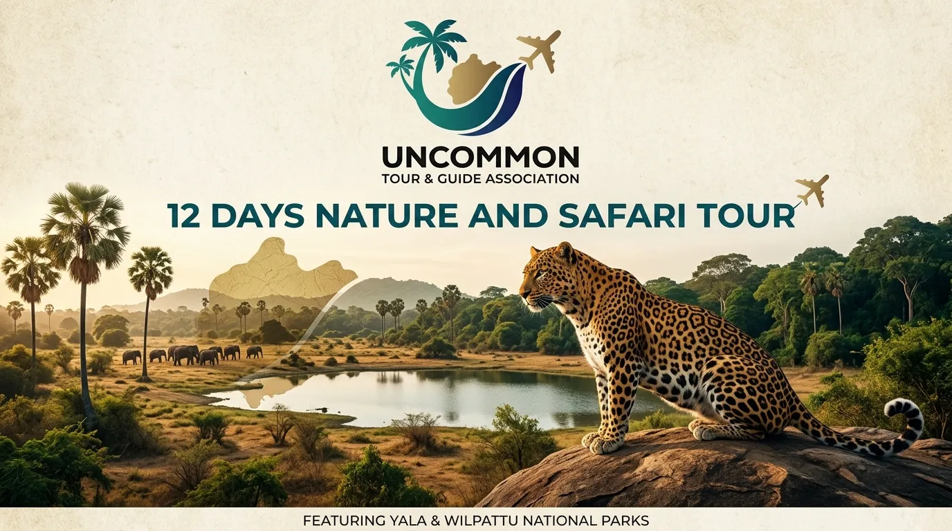 12 Days Nature and Safari Tour