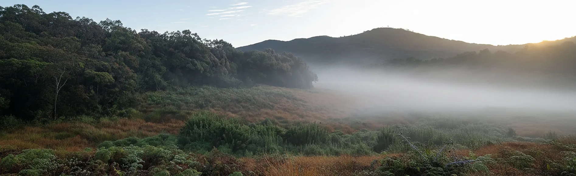 Horton Plains National Park