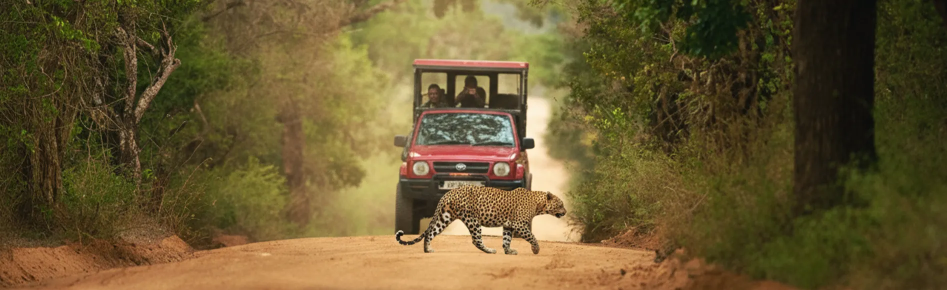 Yala National Park