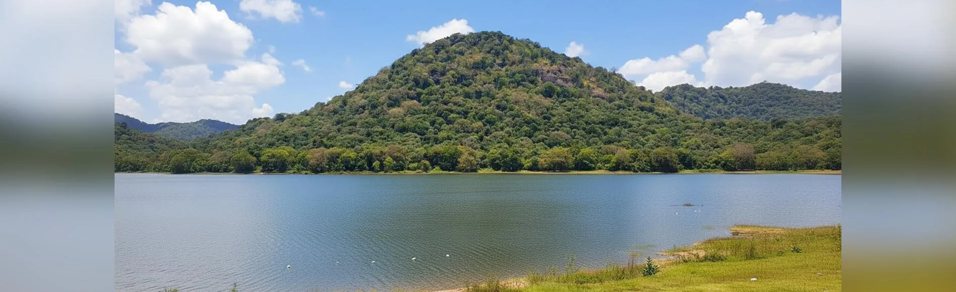 Minneriya