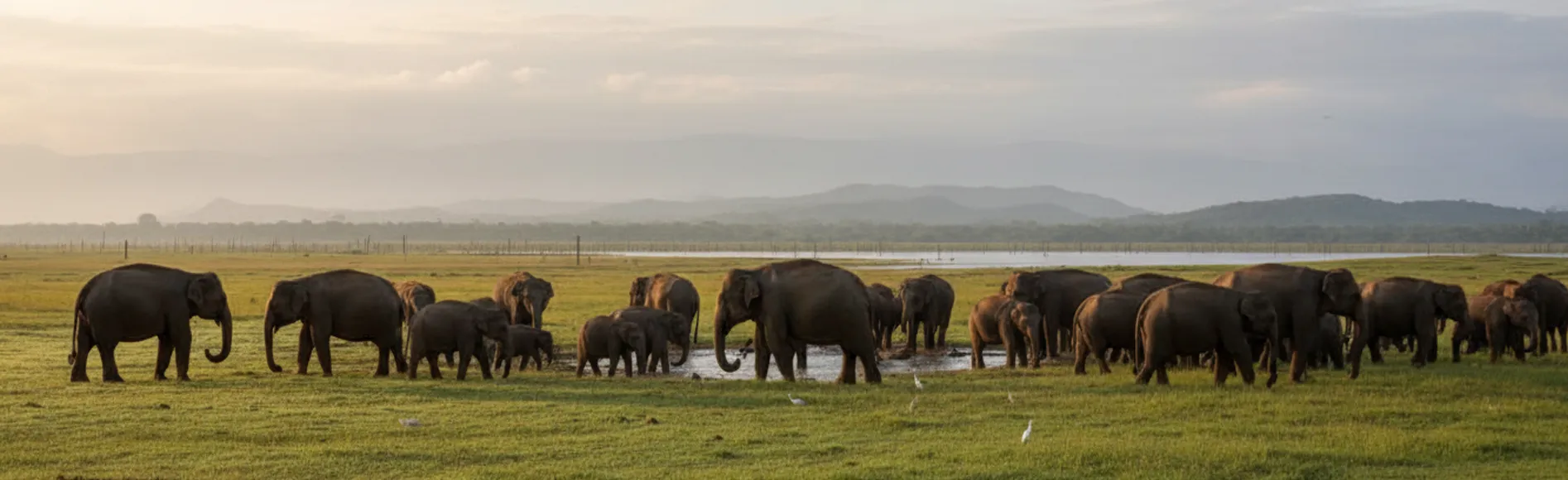 Kaudulla National Park