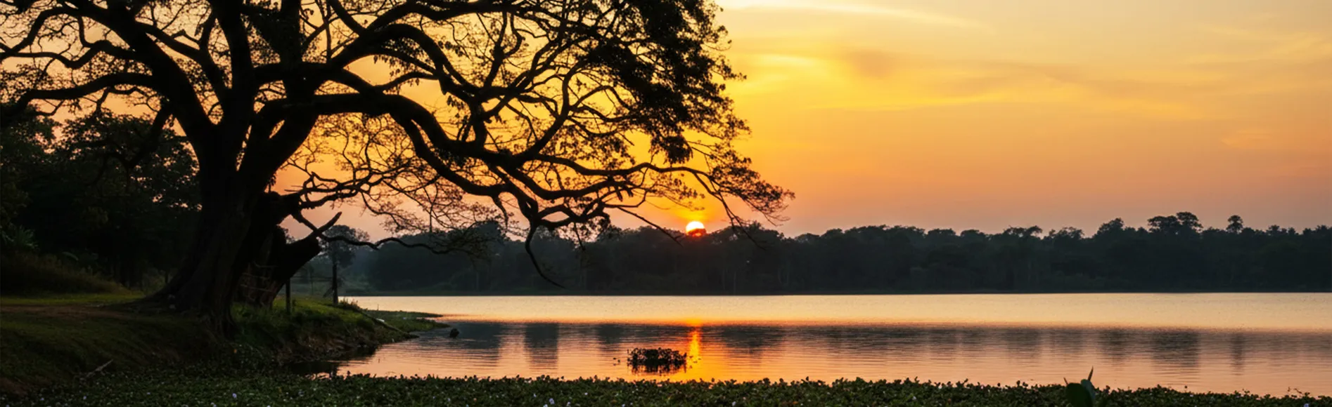 Wilpattu National Park