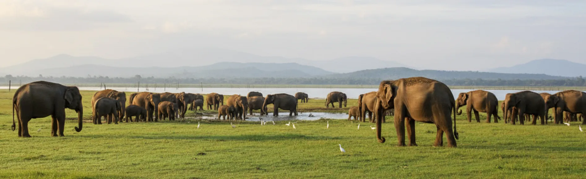 Kaudulla National Park