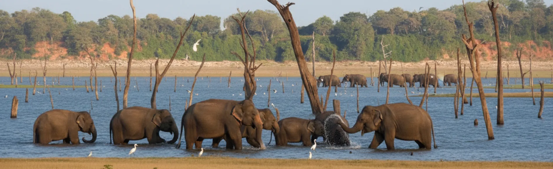 Kaudulla National Park