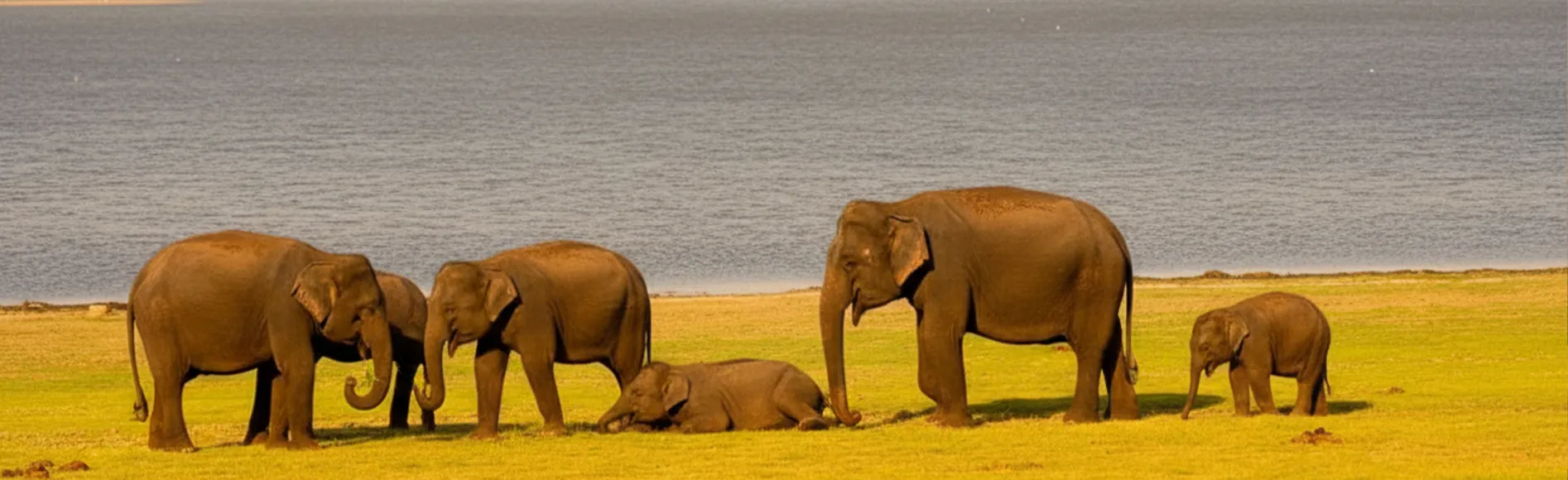 Wilpattu National Park