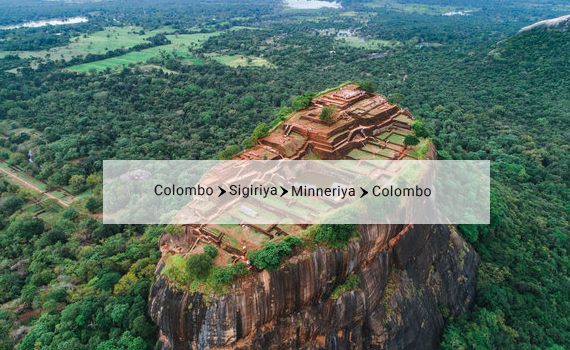 Sigiriya and Minneriya Safari Day Tour